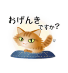 色々な猫11-3 長毛-立ち耳-茶トラ（個別スタンプ：4）