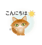 色々な猫11-3 長毛-立ち耳-茶トラ（個別スタンプ：5）