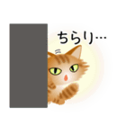 色々な猫11-3 長毛-立ち耳-茶トラ（個別スタンプ：6）