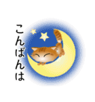 色々な猫11-3 長毛-立ち耳-茶トラ（個別スタンプ：7）