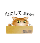 色々な猫11-3 長毛-立ち耳-茶トラ（個別スタンプ：8）