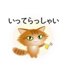 色々な猫11-3 長毛-立ち耳-茶トラ（個別スタンプ：15）