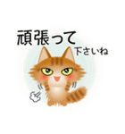 色々な猫11-3 長毛-立ち耳-茶トラ（個別スタンプ：16）