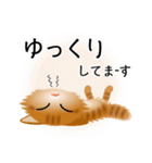 色々な猫11-3 長毛-立ち耳-茶トラ（個別スタンプ：18）
