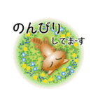 色々な猫11-3 長毛-立ち耳-茶トラ（個別スタンプ：19）
