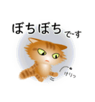 色々な猫11-3 長毛-立ち耳-茶トラ（個別スタンプ：20）