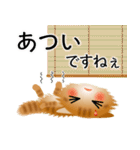 色々な猫11-3 長毛-立ち耳-茶トラ（個別スタンプ：21）