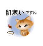 色々な猫11-3 長毛-立ち耳-茶トラ（個別スタンプ：22）