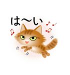 色々な猫11-3 長毛-立ち耳-茶トラ（個別スタンプ：29）