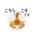 色々な猫11-3 長毛-立ち耳-茶トラ（個別スタンプ：32）