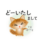 色々な猫11-3 長毛-立ち耳-茶トラ（個別スタンプ：33）