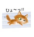 色々な猫11-3 長毛-立ち耳-茶トラ（個別スタンプ：34）