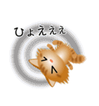 色々な猫11-3 長毛-立ち耳-茶トラ（個別スタンプ：35）