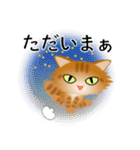 色々な猫11-3 長毛-立ち耳-茶トラ（個別スタンプ：38）
