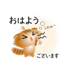 色々な猫11-4 長毛-垂れ耳-茶トラ（個別スタンプ：2）