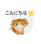 色々な猫11-4 長毛-垂れ耳-茶トラ（個別スタンプ：5）