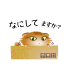 色々な猫11-4 長毛-垂れ耳-茶トラ（個別スタンプ：8）