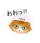 色々な猫11-4 長毛-垂れ耳-茶トラ（個別スタンプ：10）