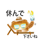 色々な猫11-4 長毛-垂れ耳-茶トラ（個別スタンプ：13）