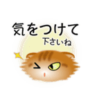 色々な猫11-4 長毛-垂れ耳-茶トラ（個別スタンプ：14）