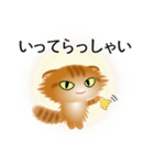 色々な猫11-4 長毛-垂れ耳-茶トラ（個別スタンプ：15）
