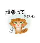 色々な猫11-4 長毛-垂れ耳-茶トラ（個別スタンプ：16）