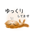 色々な猫11-4 長毛-垂れ耳-茶トラ（個別スタンプ：18）
