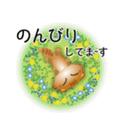 色々な猫11-4 長毛-垂れ耳-茶トラ（個別スタンプ：19）