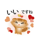 色々な猫11-4 長毛-垂れ耳-茶トラ（個別スタンプ：24）