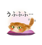 色々な猫11-4 長毛-垂れ耳-茶トラ（個別スタンプ：25）