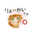 色々な猫11-4 長毛-垂れ耳-茶トラ（個別スタンプ：27）