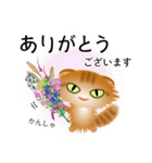 色々な猫11-4 長毛-垂れ耳-茶トラ（個別スタンプ：31）