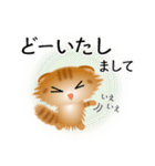 色々な猫11-4 長毛-垂れ耳-茶トラ（個別スタンプ：33）