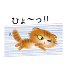 色々な猫11-4 長毛-垂れ耳-茶トラ（個別スタンプ：34）