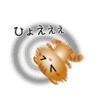色々な猫11-4 長毛-垂れ耳-茶トラ（個別スタンプ：35）