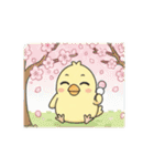 ひよこの日常 〜春夏秋冬Ver.〜（個別スタンプ：1）