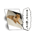ドリーちゃん＆ウナくん（個別スタンプ：10）
