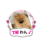 ドリーちゃん＆ウナくん（個別スタンプ：13）