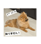 ドリーちゃん＆ウナくん（個別スタンプ：14）