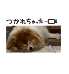 ドリーちゃん＆ウナくん（個別スタンプ：22）