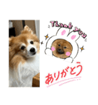 ドリーちゃん＆ウナくん（個別スタンプ：37）