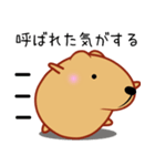 きゃぴばら【なんとなく返信】（個別スタンプ：1）