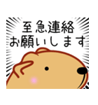 きゃぴばら【なんとなく返信】（個別スタンプ：13）