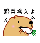 きゃぴばら【なんとなく返信】（個別スタンプ：17）