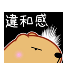 きゃぴばら【なんとなく返信】（個別スタンプ：21）