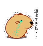 きゃぴばら【なんとなく返信】（個別スタンプ：35）