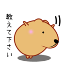 きゃぴばら【なんとなく返信】（個別スタンプ：39）