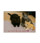大人な猫の日常（個別スタンプ：4）