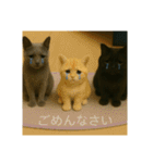 大人な猫の日常（個別スタンプ：5）