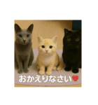 大人な猫の日常（個別スタンプ：9）
